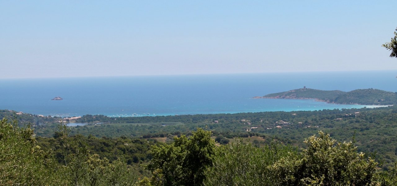 Wine tour in Corsica